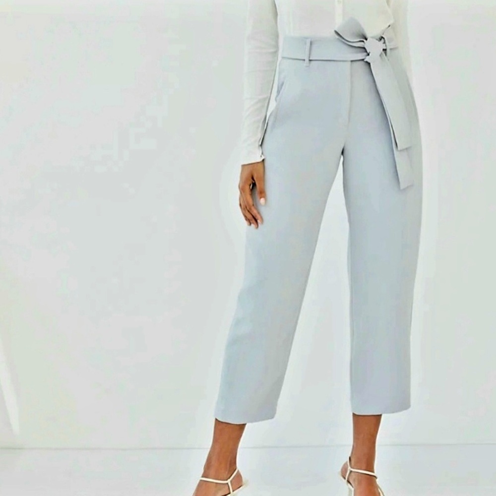 Aritzia Wilfred front tie pants